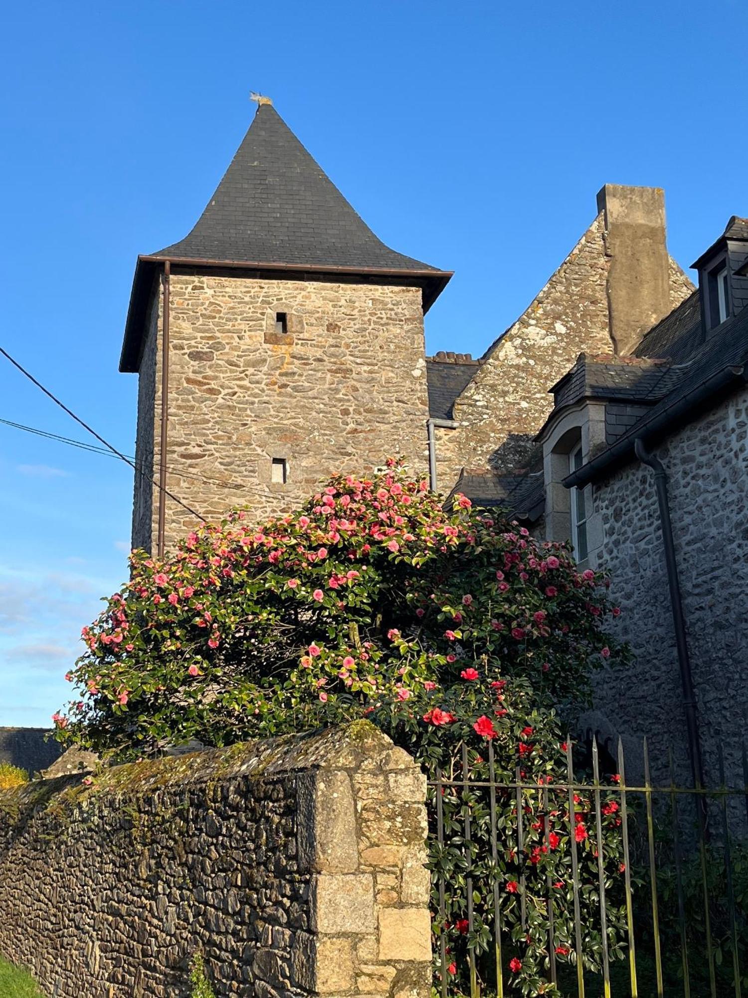Bed and Breakfast Manoir Des Bords De Rance Plouër-sur-Rance Zewnętrze zdjęcie