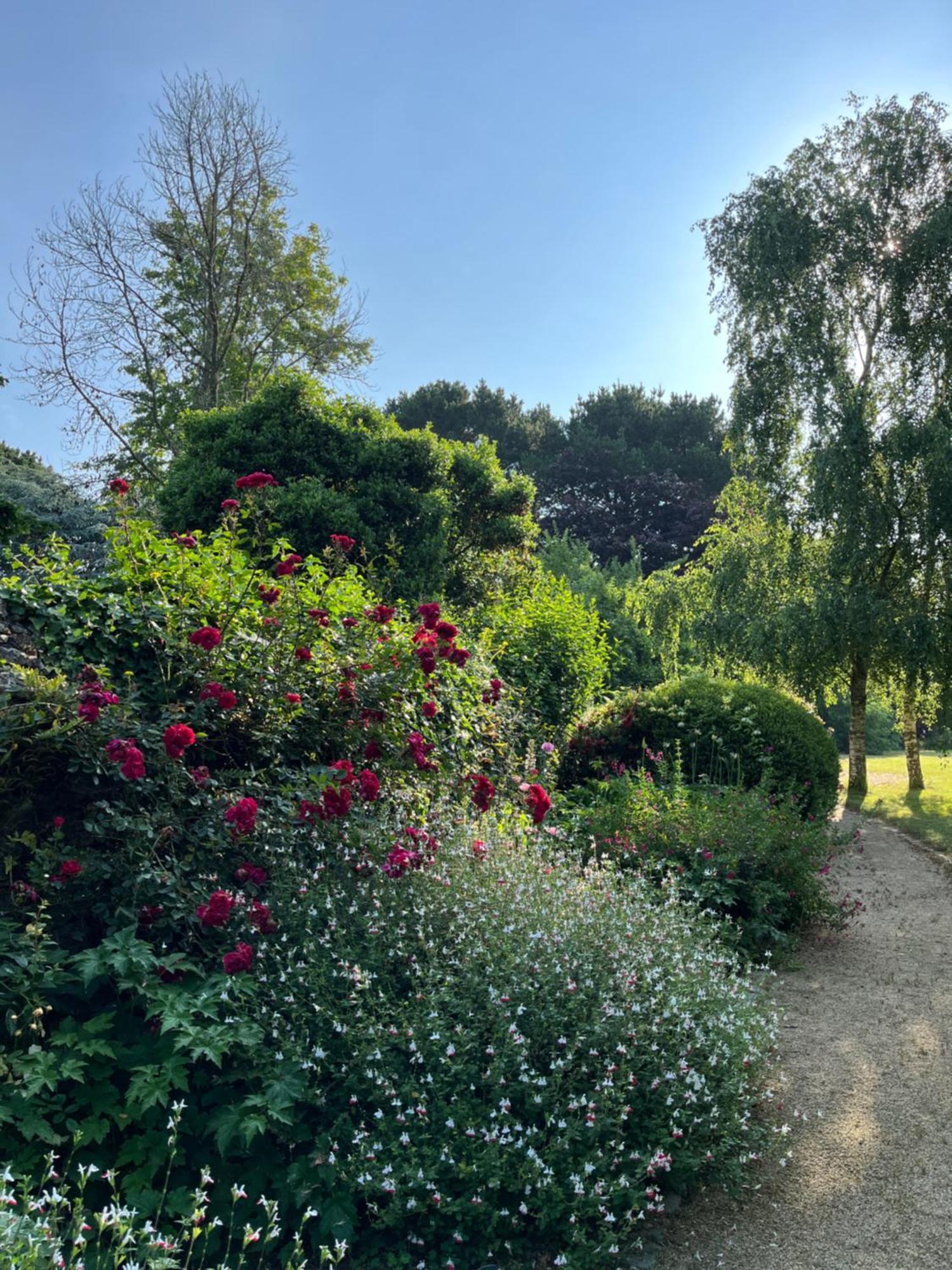 Bed and Breakfast Manoir Des Bords De Rance Plouër-sur-Rance Zewnętrze zdjęcie